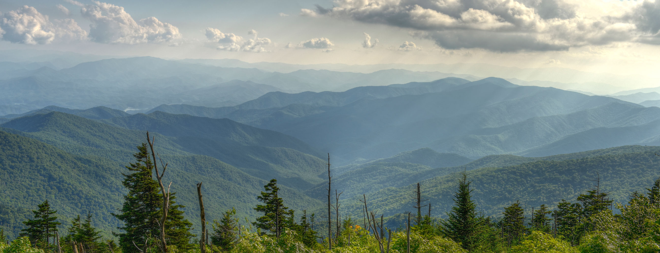 sbogdanovic sbogdanovic